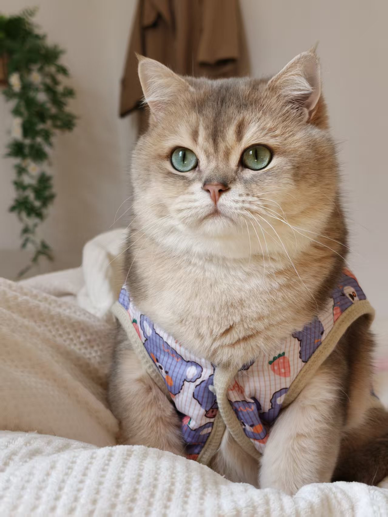 Banner de Videovigilancia